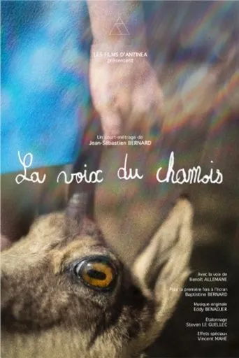 Póster de La voix du chamois