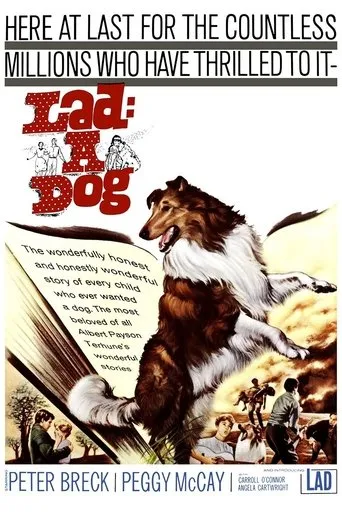 Póster de Lad: A Dog