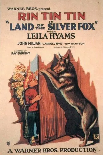 Póster de Land of the Silver Fox