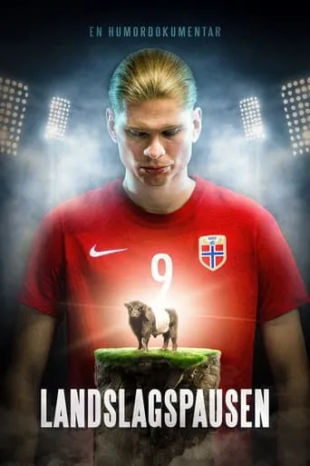 Póster de Landslagspausen