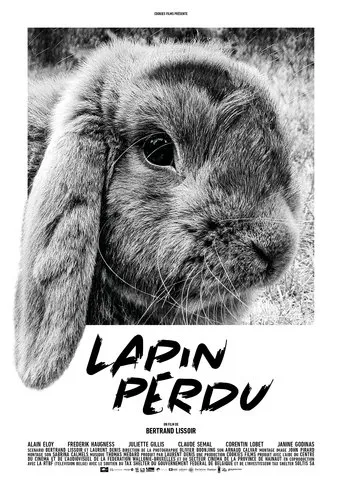 Póster de Lapin perdu