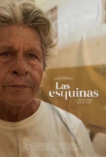 Póster de Las esquinas y otras cosas que se van