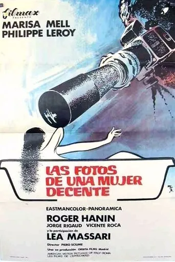Póster de Las fotos de una mujer decente