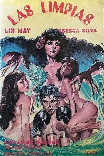Póster de Las limpias