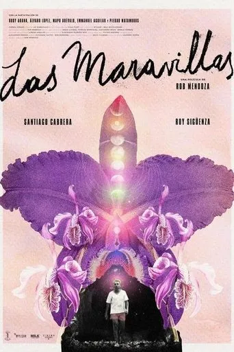 Póster de Las Maravillas