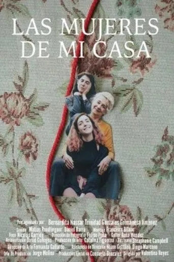 Póster de Las mujeres de mi casa