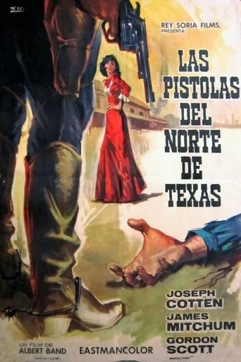 Póster de Las pistolas del norte de Texas