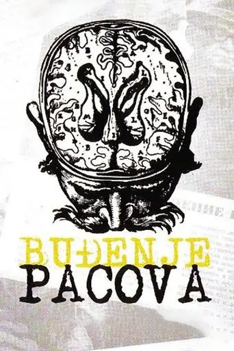 Póster de Las ratas se han despertado (1967) con Mirjana Blašković como Kurva