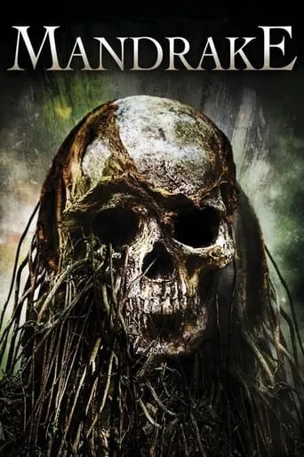 Póster de Las ruinas 2