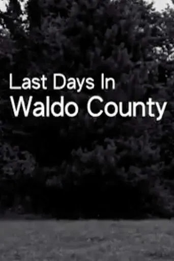Póster de Last Days In Waldo County