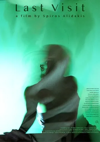 Póster de Last Visit