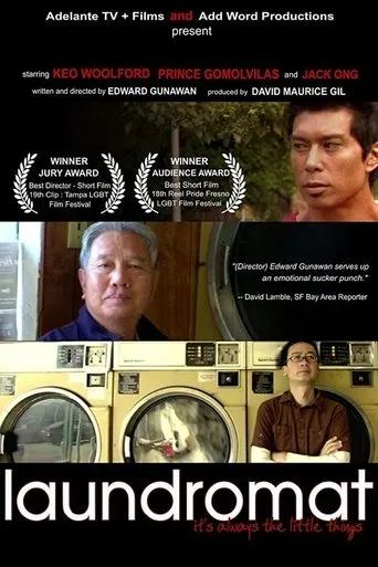 Póster de Laundromat