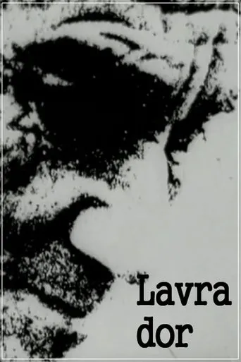 Póster de Lavra Dor