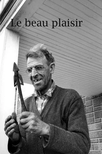 Póster de Le beau plaisir