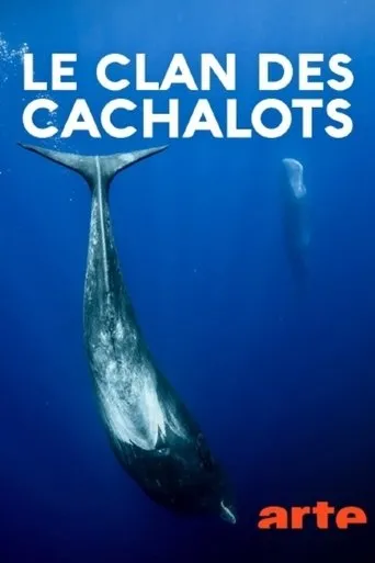 Póster de Le clan des cachalots