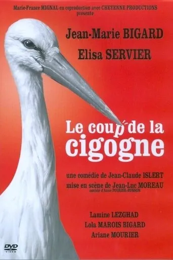 Póster de Le Coup de la Cigogne