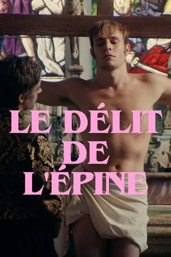 Póster de Le délit de l'épine