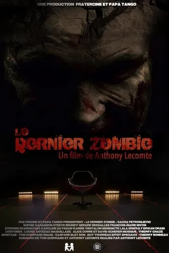 Póster de Le dernier zombie