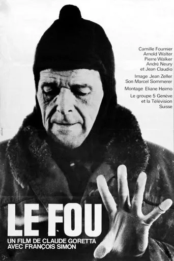 Póster de Le fou