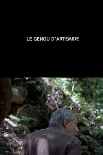 Póster de Le Genou d'Artémide