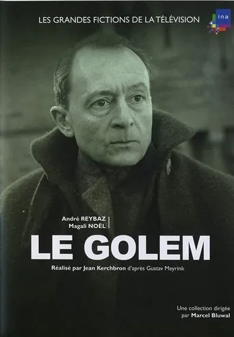 Póster de Le golem