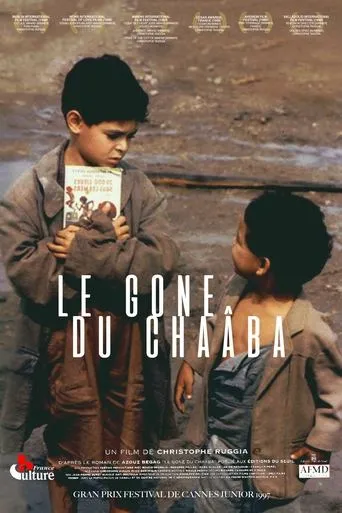 Póster de Le Gone du Chaâba