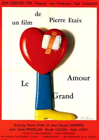 Póster de Le Grand Amour