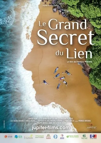 Póster de Le Grand Secret du lien