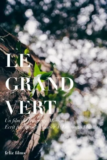 Póster de Le grand vert