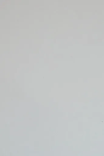 Póster de le magnifique bruit de pages déchirées