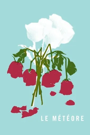 Póster de Le météore