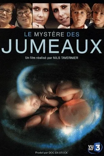 Póster de Le mystère des jumeaux