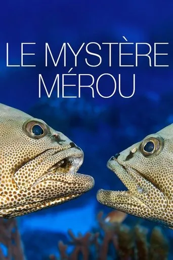 Póster de Le Mystère Mérou