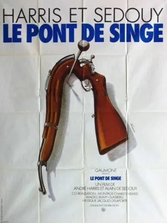 Póster de Le pont de singe