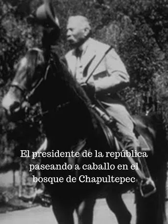 Póster de Le président en promenade