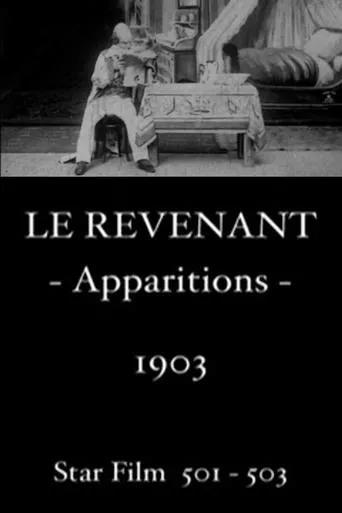 Póster de Le Revenant