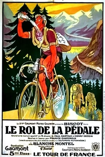 Póster de Le roi de la pédale