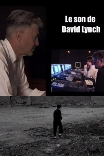 Póster de Le son de Lynch