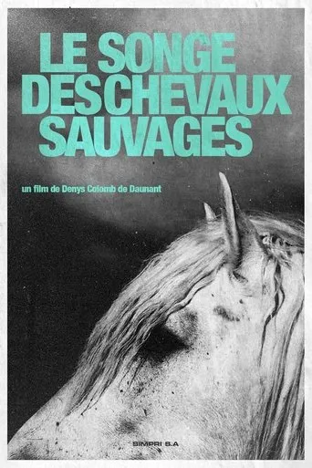 Póster de Le Songe Des Chevaux Sauvages