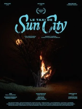 Póster de Le taxi de Sun City