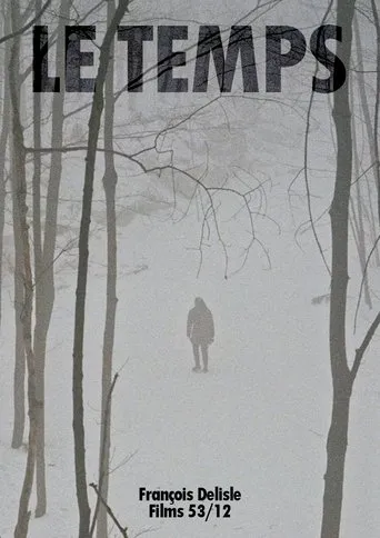 Póster de Le temps
