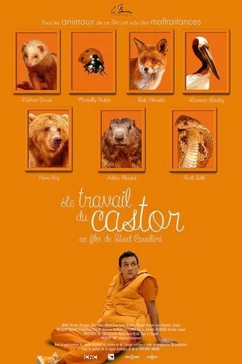 Póster de Le Travail du castor