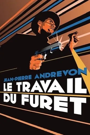 Póster de Le Travail du furet