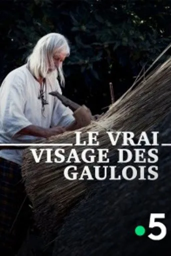 Póster de Le Vrai Visage des Gaulois