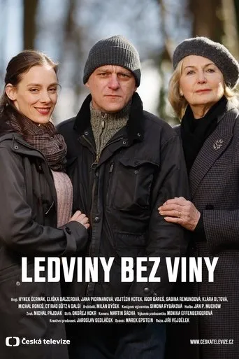 Póster de Ledviny bez viny