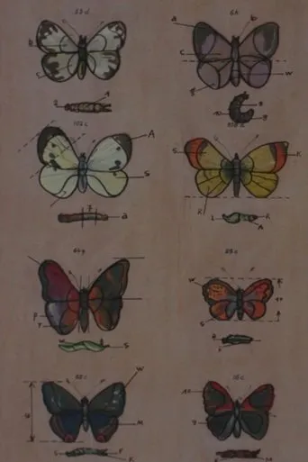 Póster de Lekcja anatomii