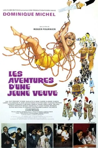 Póster de Les aventures d'une jeune veuve