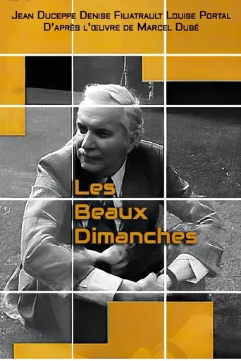 Póster de Les beaux dimanches