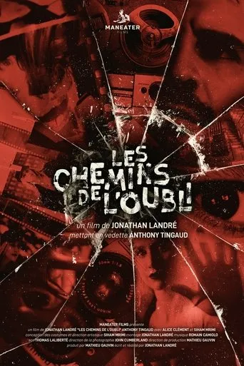 Póster de Les chemins de l'oubli
