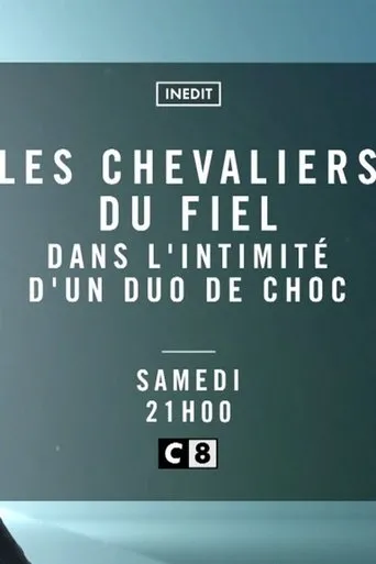 Póster de Les Chevaliers du Fiel - Dans l'intimité d'un duo de choc